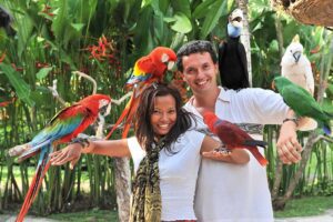 bali bird park 3