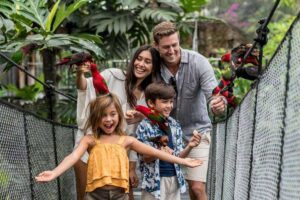 bali bird park 4