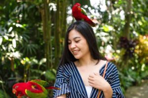 bali bird park 6