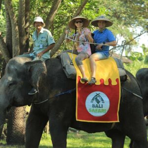 ELEPHANT BACK SAFARI