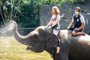 Elephant Bathing & Riding Experiences