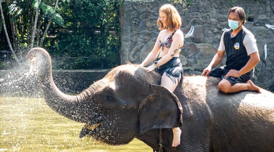Elephant Bathing & Riding Experiences