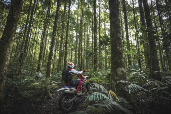 2 Days - KTM 350cc (Tabanan, Kintamani, Black Lava The Roof of Bali)