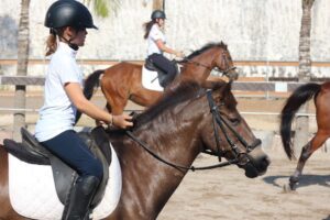 Enjoy Horseback Tours in Bali: Beach Rides and Village Exploration