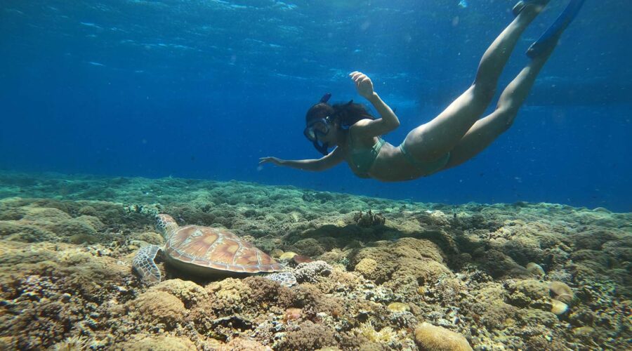 Lombok Harmony Escape (3D2N)