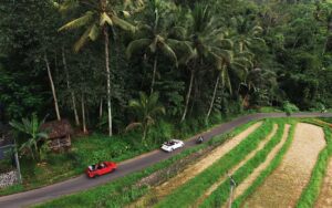 vw safari e bike v1