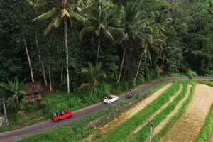 VW Safari & E-Bike