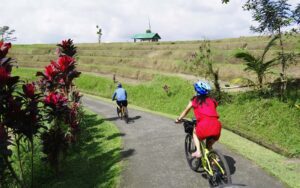 vw safari e bike v5