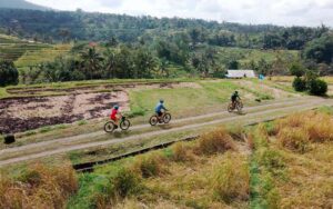 vw safari e bike v6