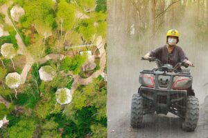 Kintamani Glamping Adventure