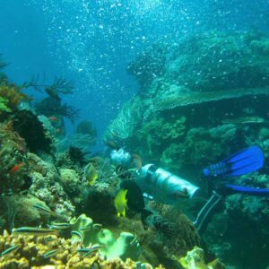 Diving Amed