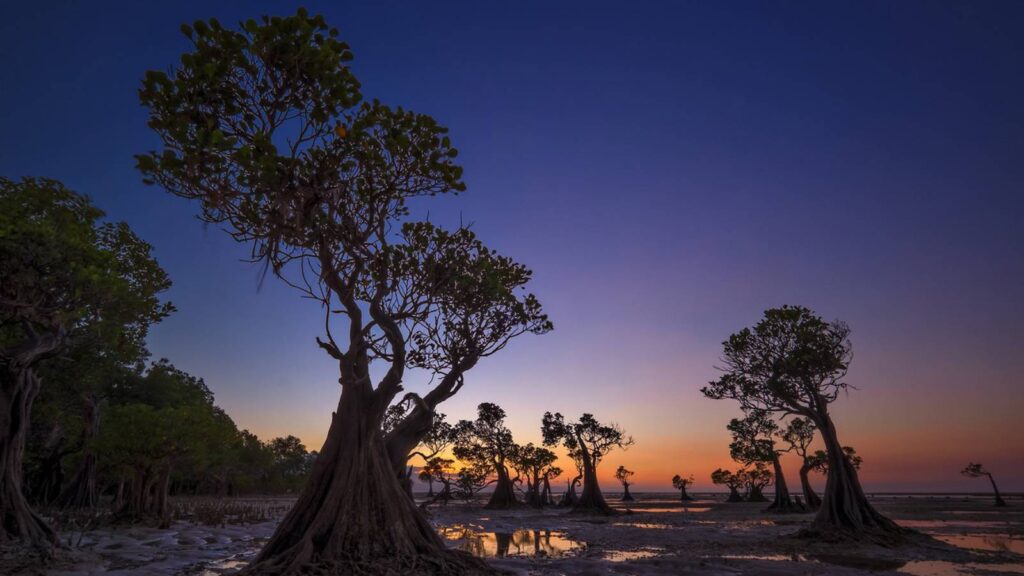 9 Untamed Beaches of Sumba, Indonesia: Secret Shores for Wild Adventures 8 walakiri beach